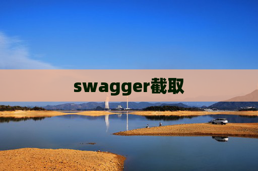 swagger截取